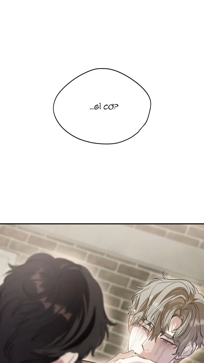 LỆNH CỨU RỖI Chapter 83 - Next Chapter 84