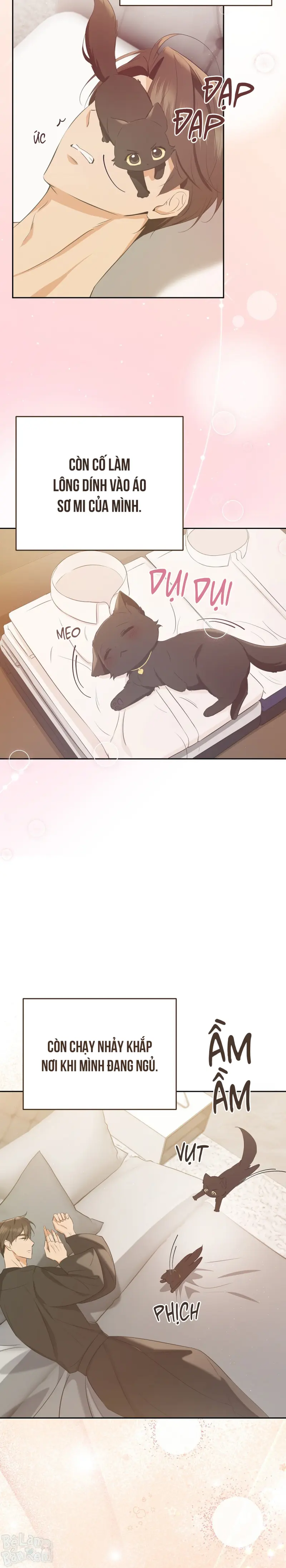 LIỆU PHÁP TRỊ LIỆU MÈO Chapter 4 - Trang 2