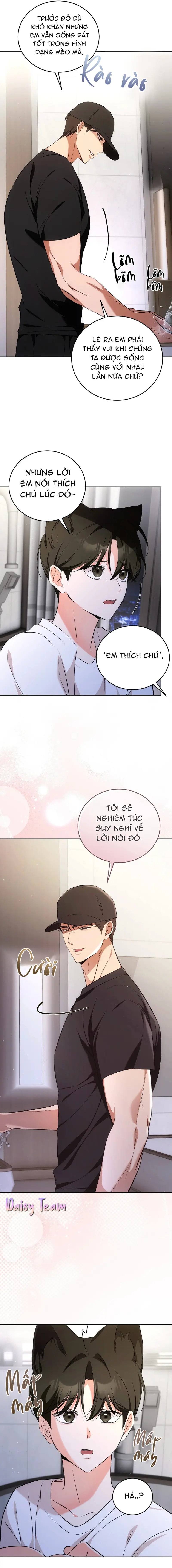 LIỆU PHÁP MÈO Chapter 6 - Next Chapter 7