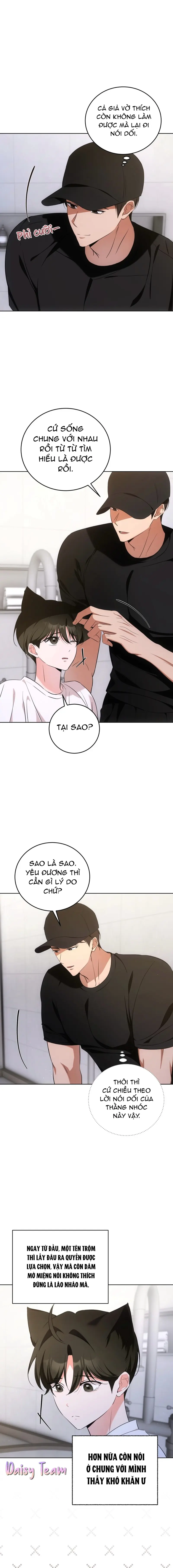 LIỆU PHÁP MÈO Chapter 6 - Next Chapter 7