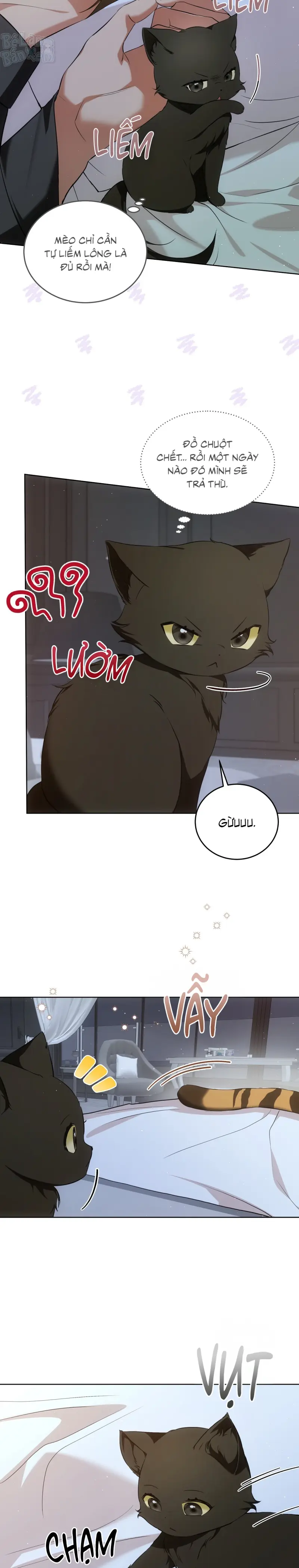 LIỆU PHÁP TRỊ LIỆU MÈO Chapter 7 - Next Chapter 8