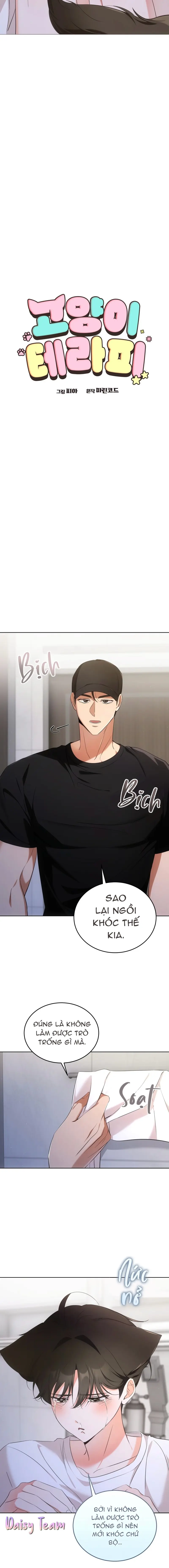 LIỆU PHÁP MÈO Chapter 6 - Next Chapter 7