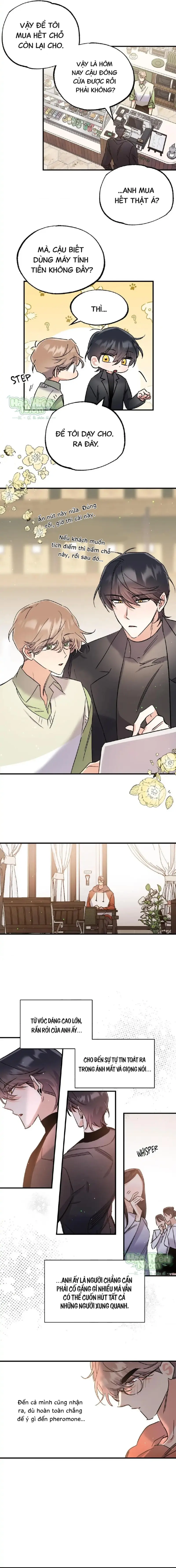 Vũ Trụ Nơi Thiên Thạch Rơi Chapter 10 Hachiennhom - Next 