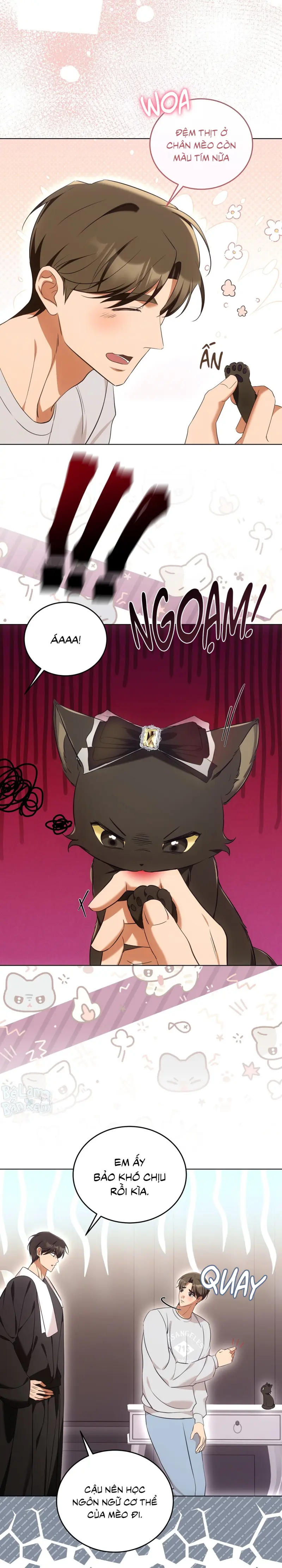LIỆU PHÁP TRỊ LIỆU MÈO Chapter 8 - Next Chapter 9