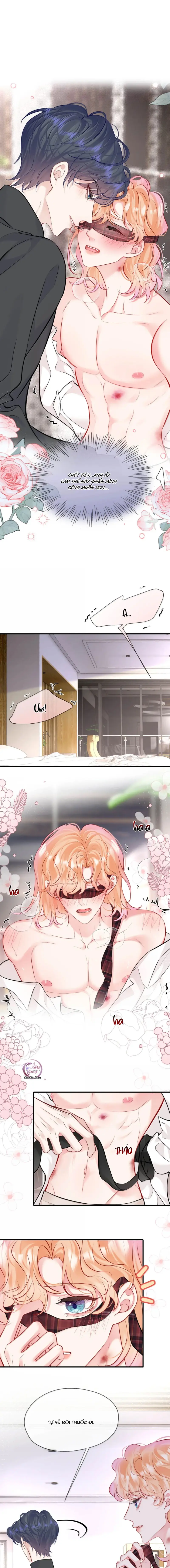 ĐỐI TƯỢNG CÔNG LƯỢC! THIẾT LẬP TÍNH CÁCH CỦA ANH BỊ MÉO MÓ RỒI! Chapter 51 - Next 