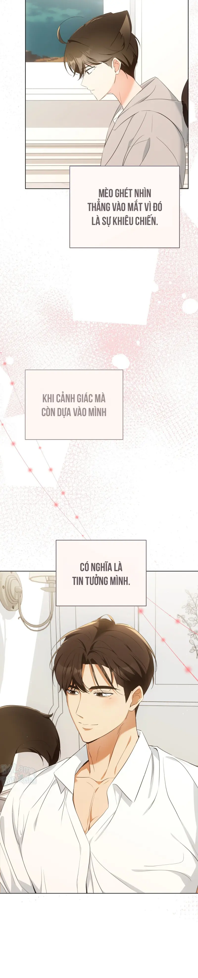 LIỆU PHÁP TRỊ LIỆU MÈO Chapter 9 - Next 