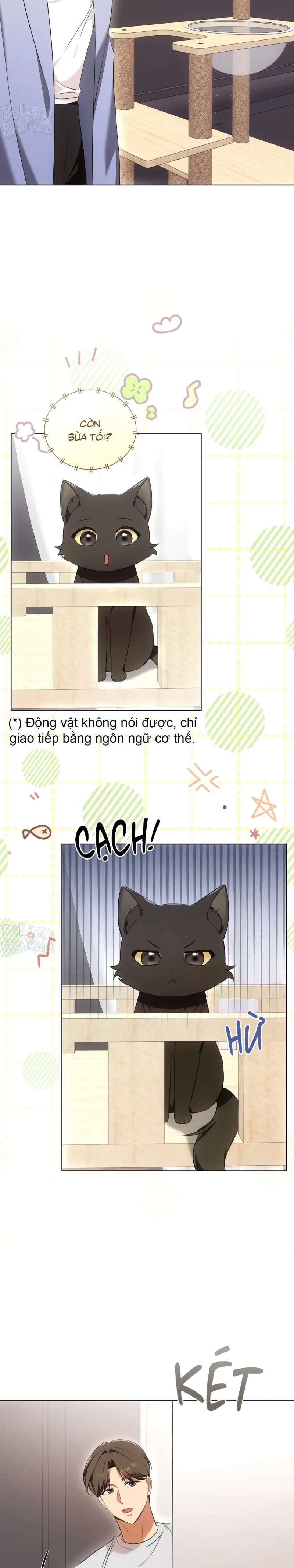 LIỆU PHÁP TRỊ LIỆU MÈO Chapter 8 - Next Chapter 9