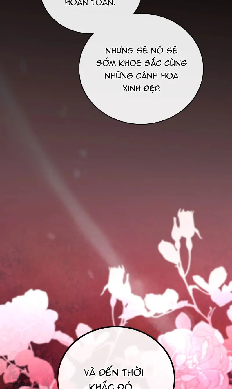 KẺ VIẾT THAY THƯ TÌNH Chapter 25 - Next 