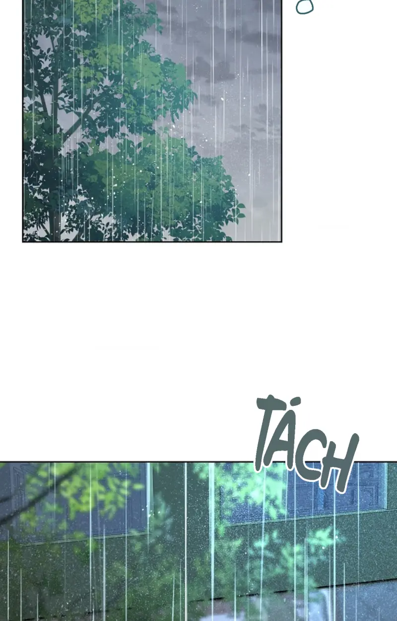 HANG RẮN Chapter 11 - Next 