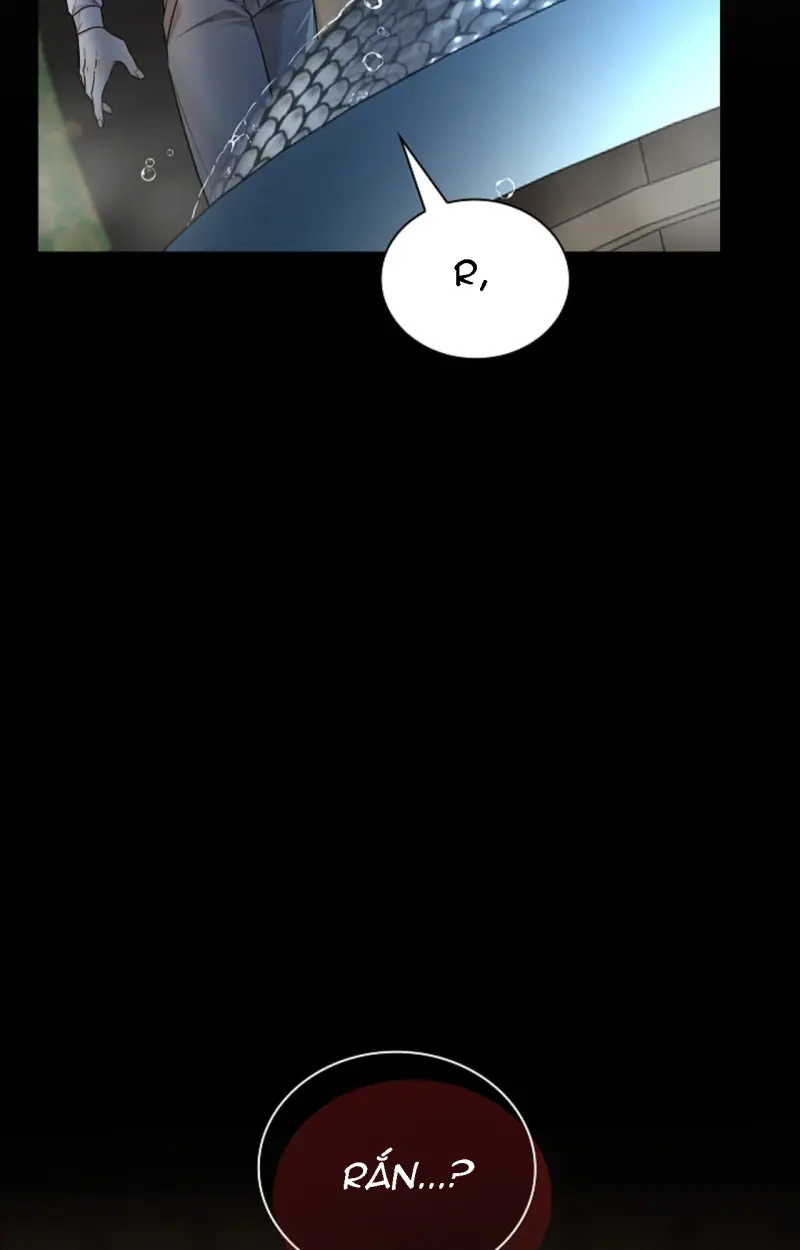 HANG RẮN Chapter 11 - Next 