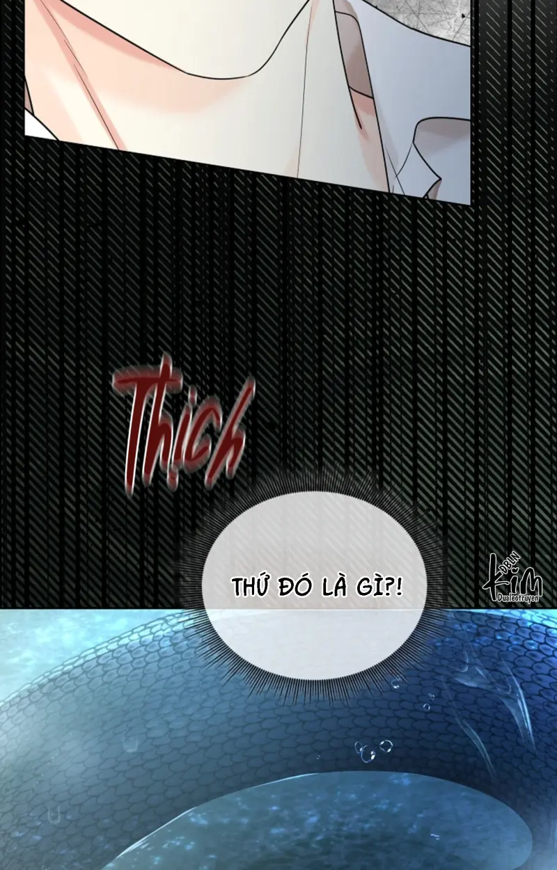 HANG RẮN Chapter 11 - Next 