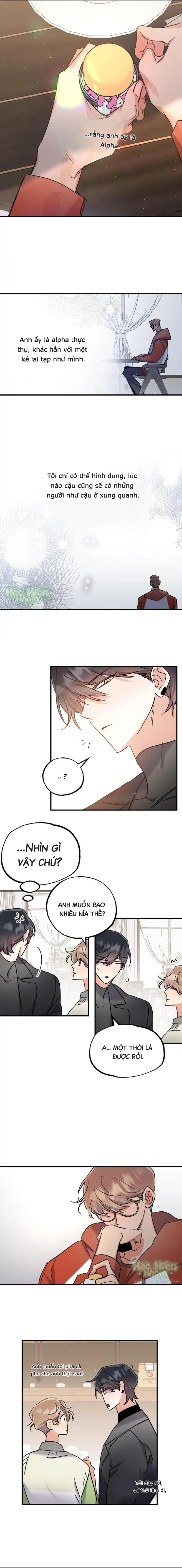 Vũ Trụ Nơi Thiên Thạch Rơi Chapter 10 Hachiennhom - Next 