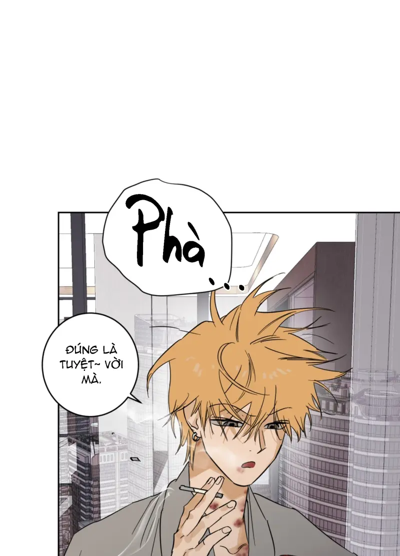 FULL BOOK Chapter 13 - Next Chapter 14