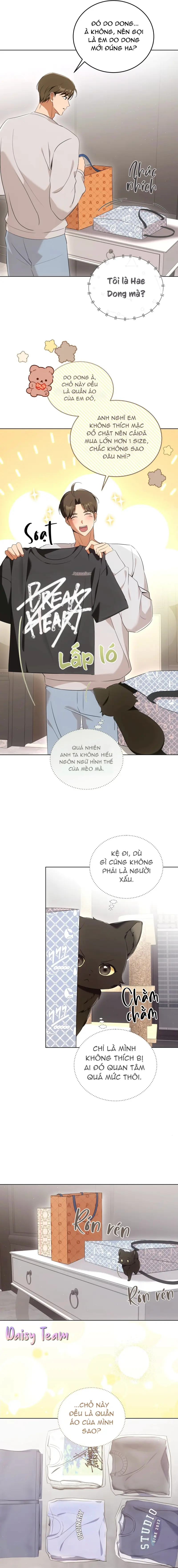 LIỆU PHÁP MÈO Chapter 8 - Trang 2