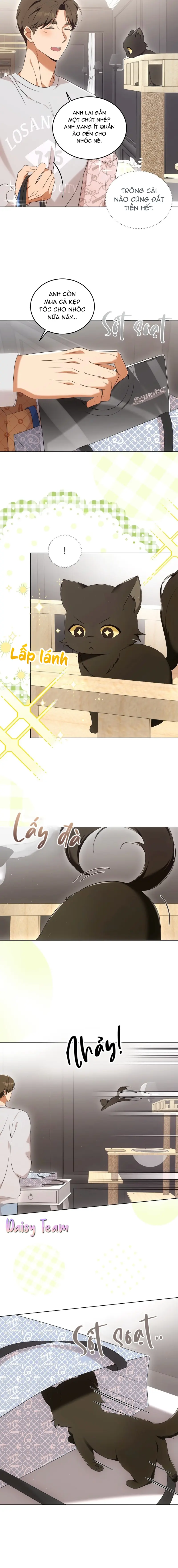 LIỆU PHÁP MÈO Chapter 8 - Trang 2