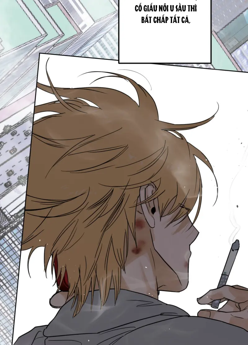 FULL BOOK Chapter 13 - Next Chapter 14