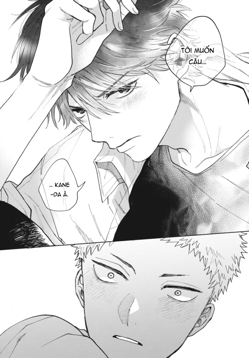 Tiền bối, Đây Tuyệt Đối Không Phải Là Yêu! Chapter 14 H - Next 