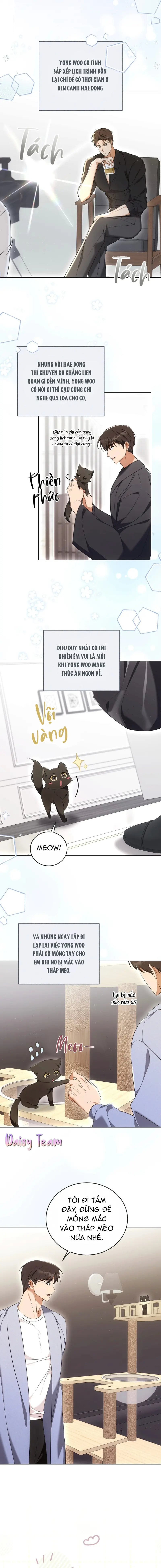 LIỆU PHÁP MÈO Chapter 8 - Trang 2