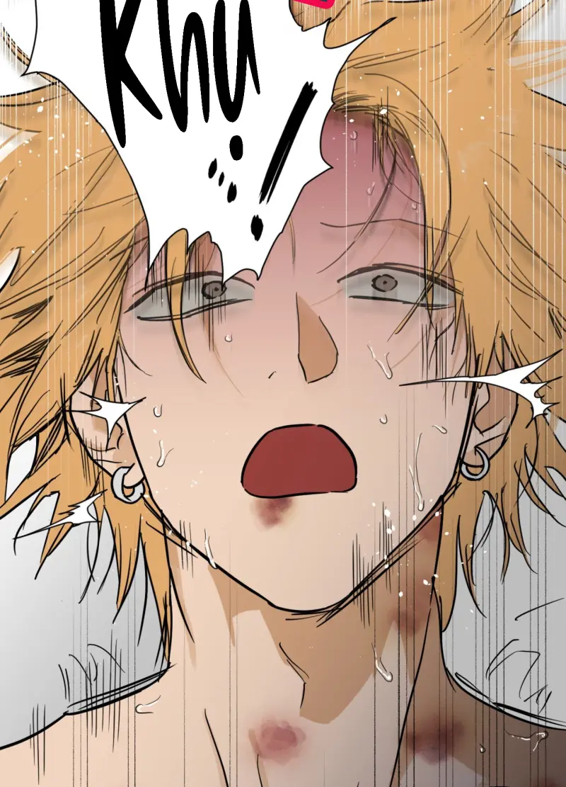 FULL BOOK Chapter 13 - Next Chapter 14