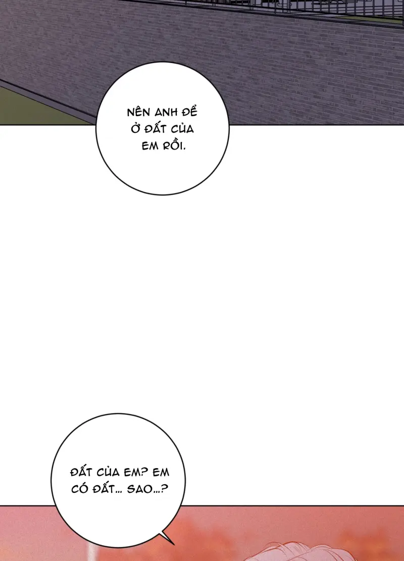 (ABO) LỜI CẦU NGUYỆN Chapter 94 - Trang 2