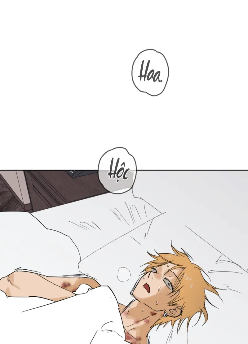 FULL BOOK Chapter 13 - Next Chapter 14