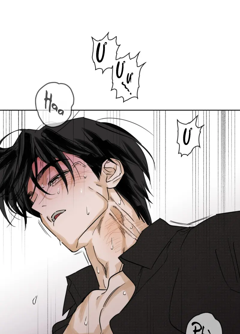 FULL BOOK Chapter 13 - Next Chapter 14