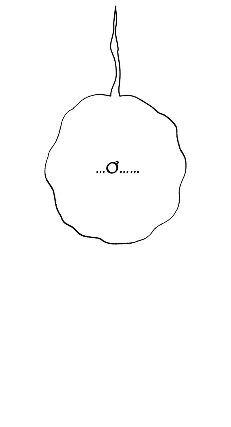 QUẺ BÓI GIẤC MƠ CỦA YÊU TINH Chapter 73 - Next Chapter 74