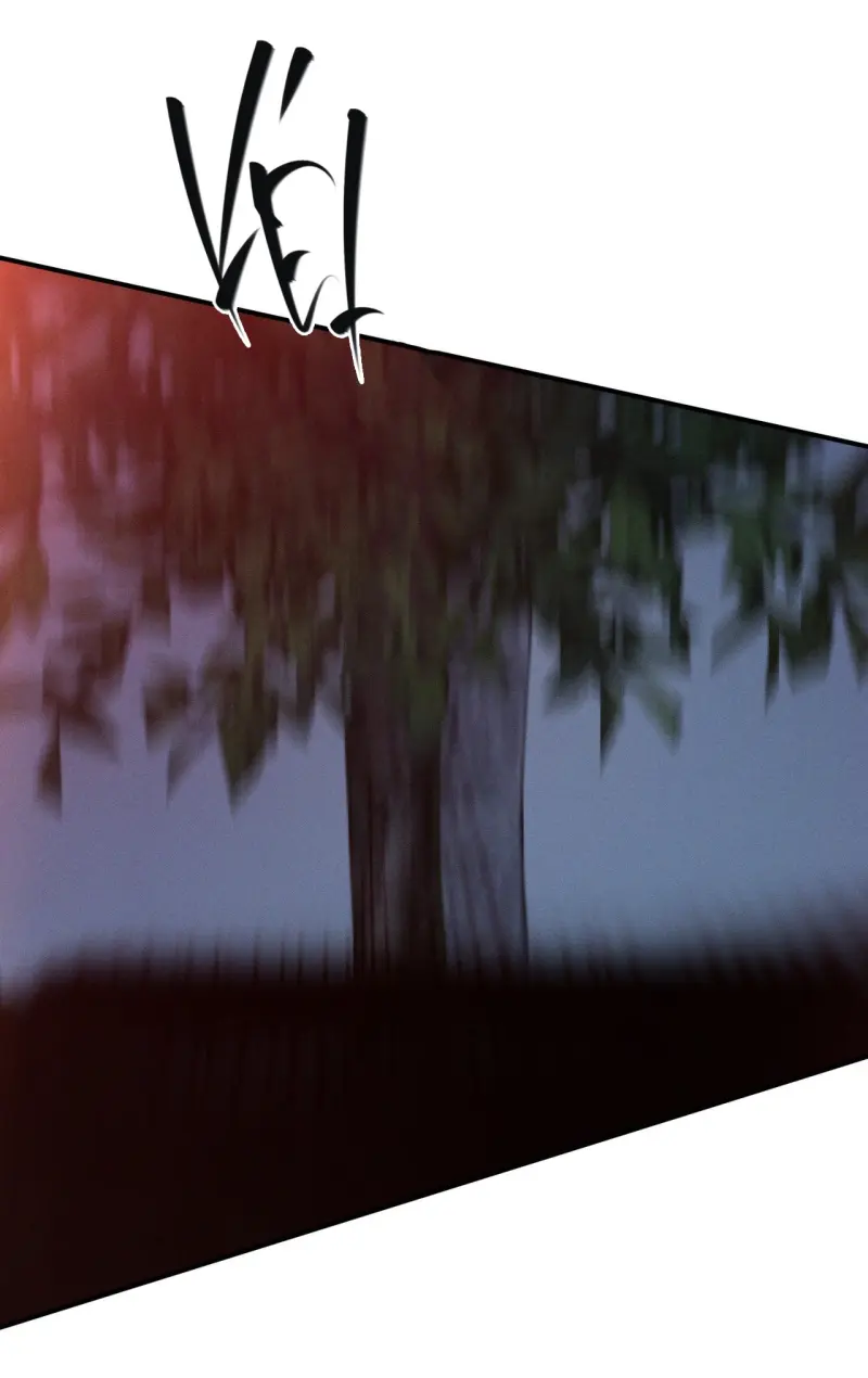 FLASHLIGHT Chapter 54 - Next 