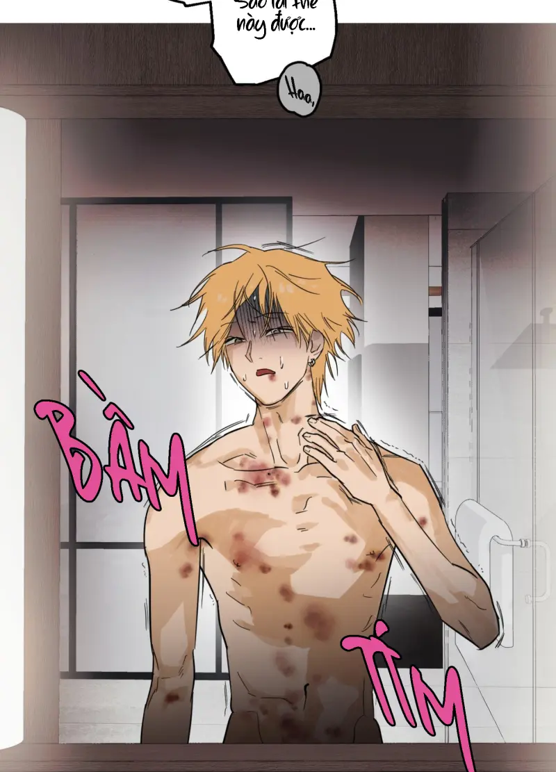 FULL BOOK Chapter 13 - Next Chapter 14