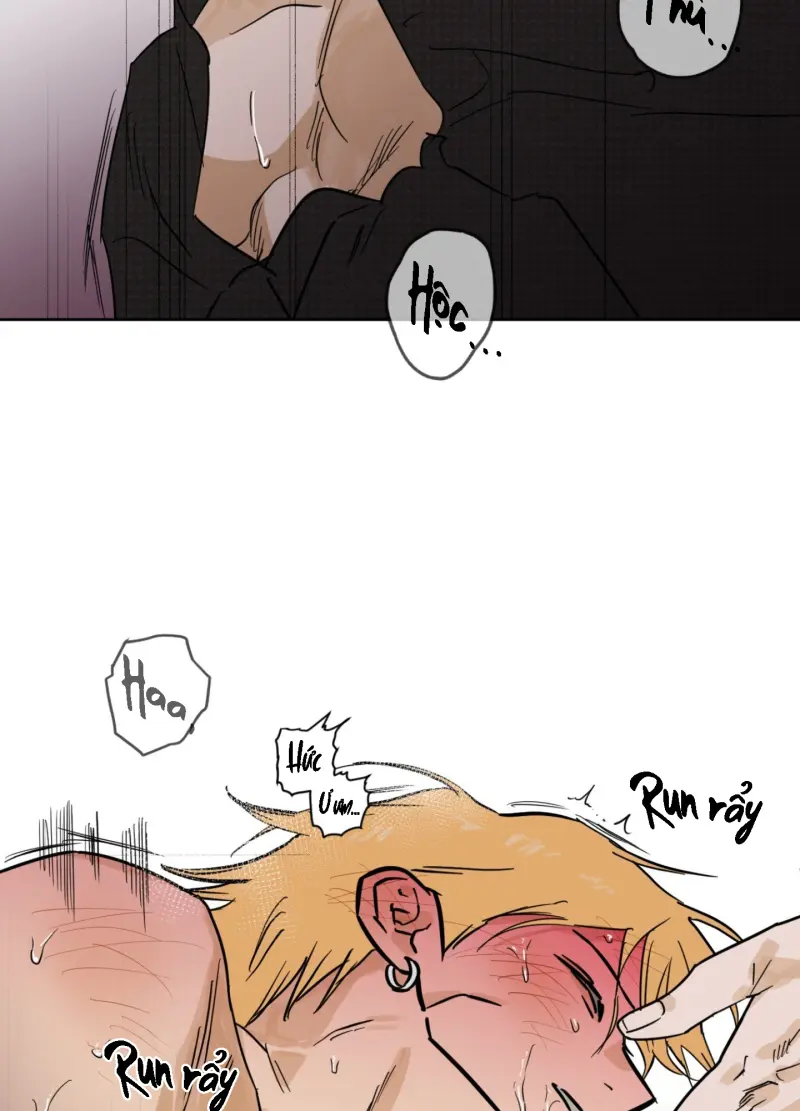 FULL BOOK Chapter 13 - Next Chapter 14