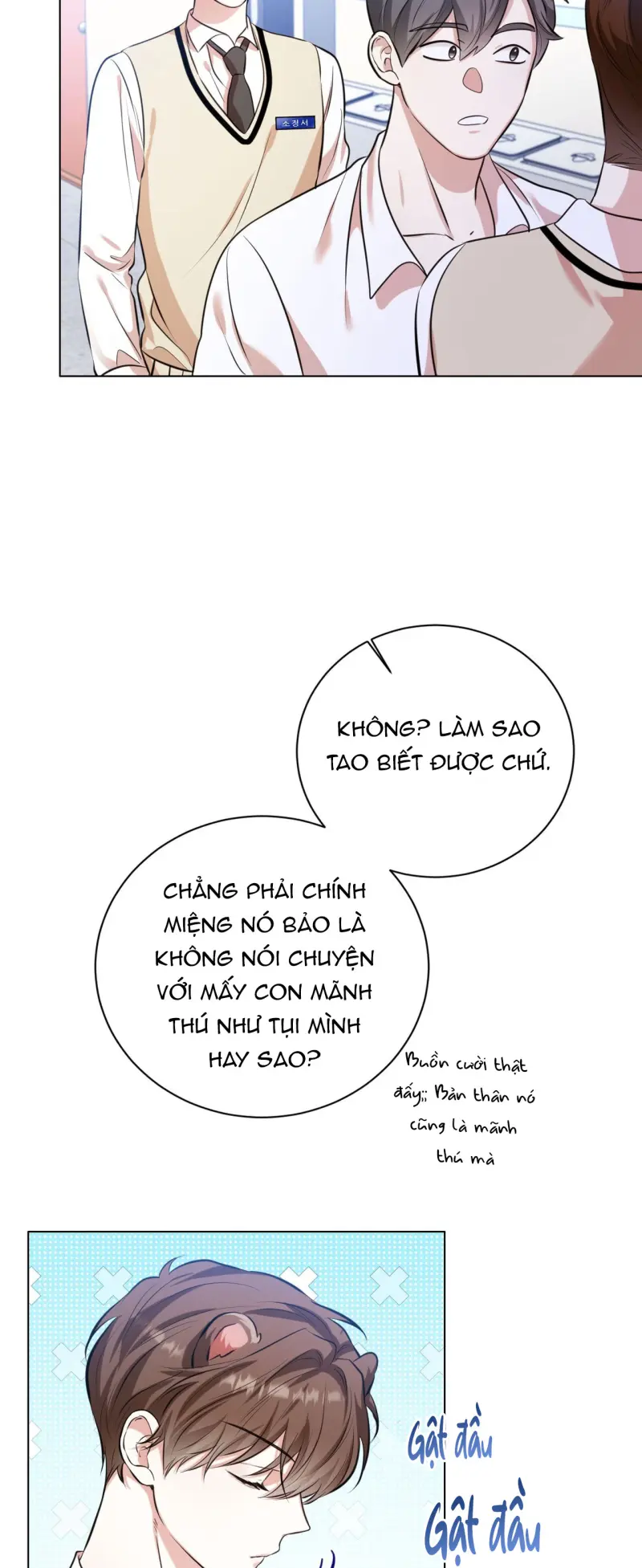 Cảnh báo: có thú dữ kìa Chapter 3 - Next Chapter 4