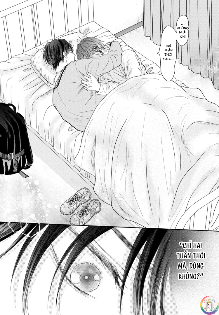 Tình Yêu Không Thể Giấu Chapter 6 - Next 