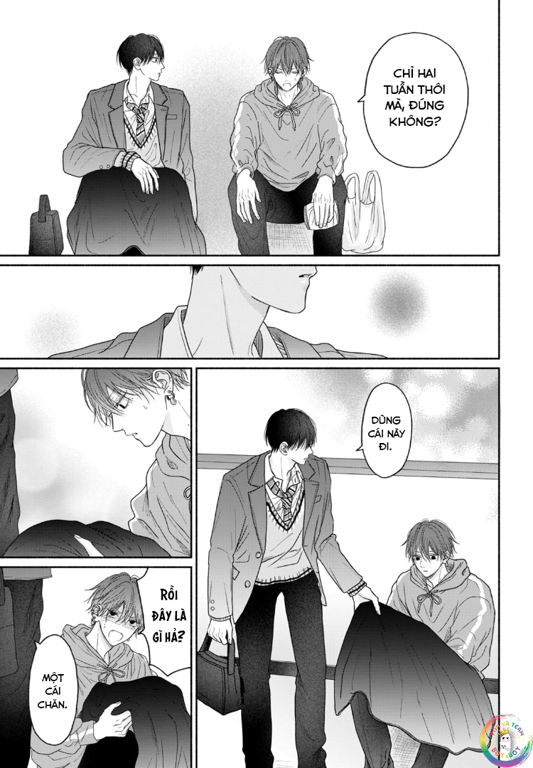 Tình Yêu Không Thể Giấu Chapter 6 - Next 