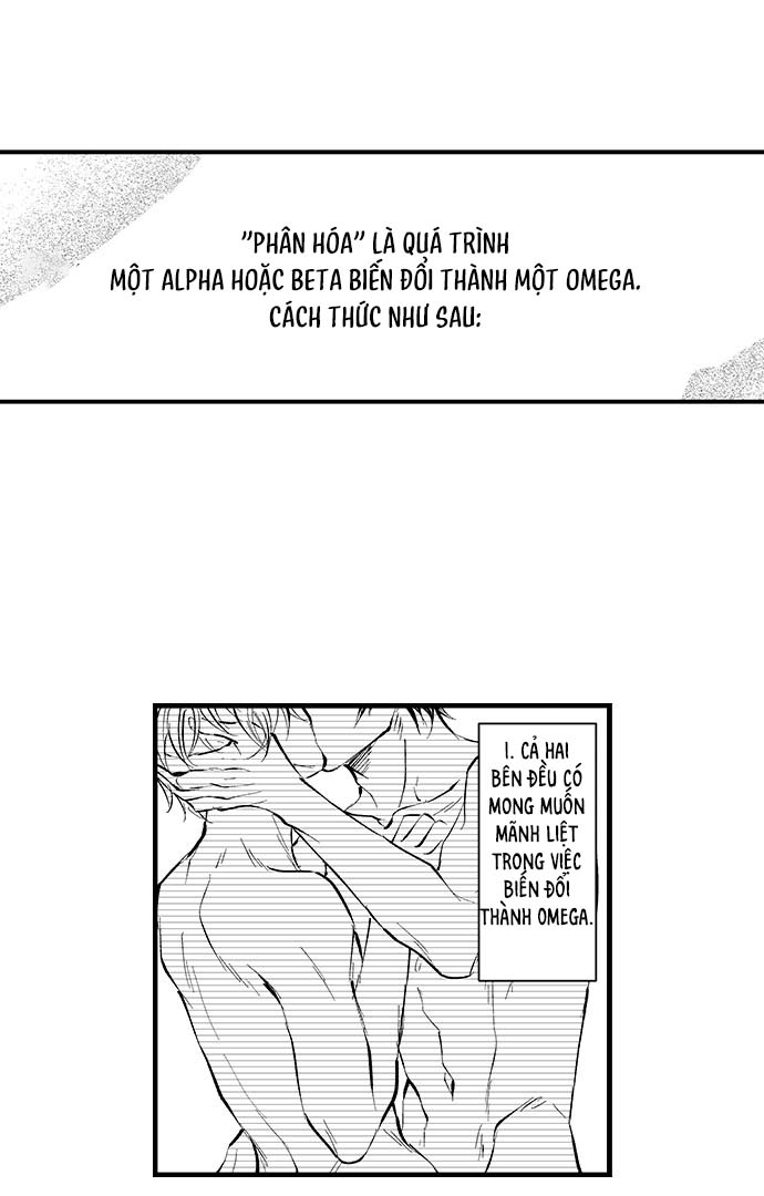 Bí Mật Thầm Kín Của Ngài Quý Tộc α Chapter 2 - Trang 2