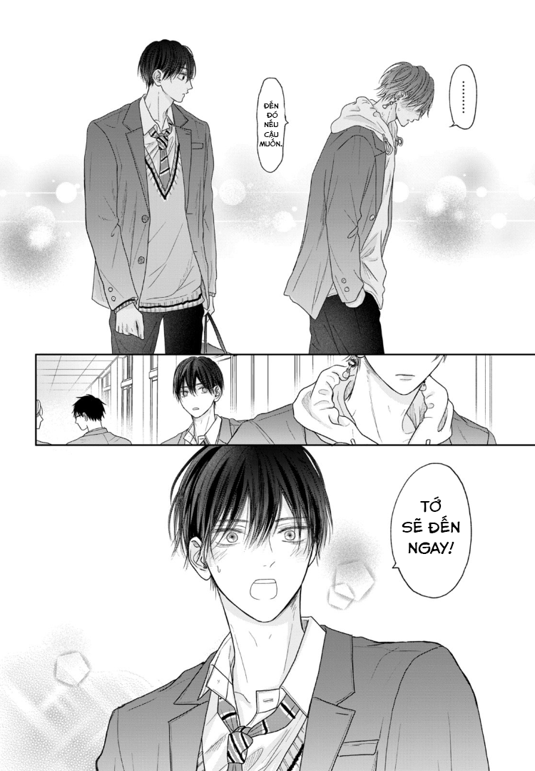 Tình Yêu Không Thể Giấu Chapter 6 - Next 