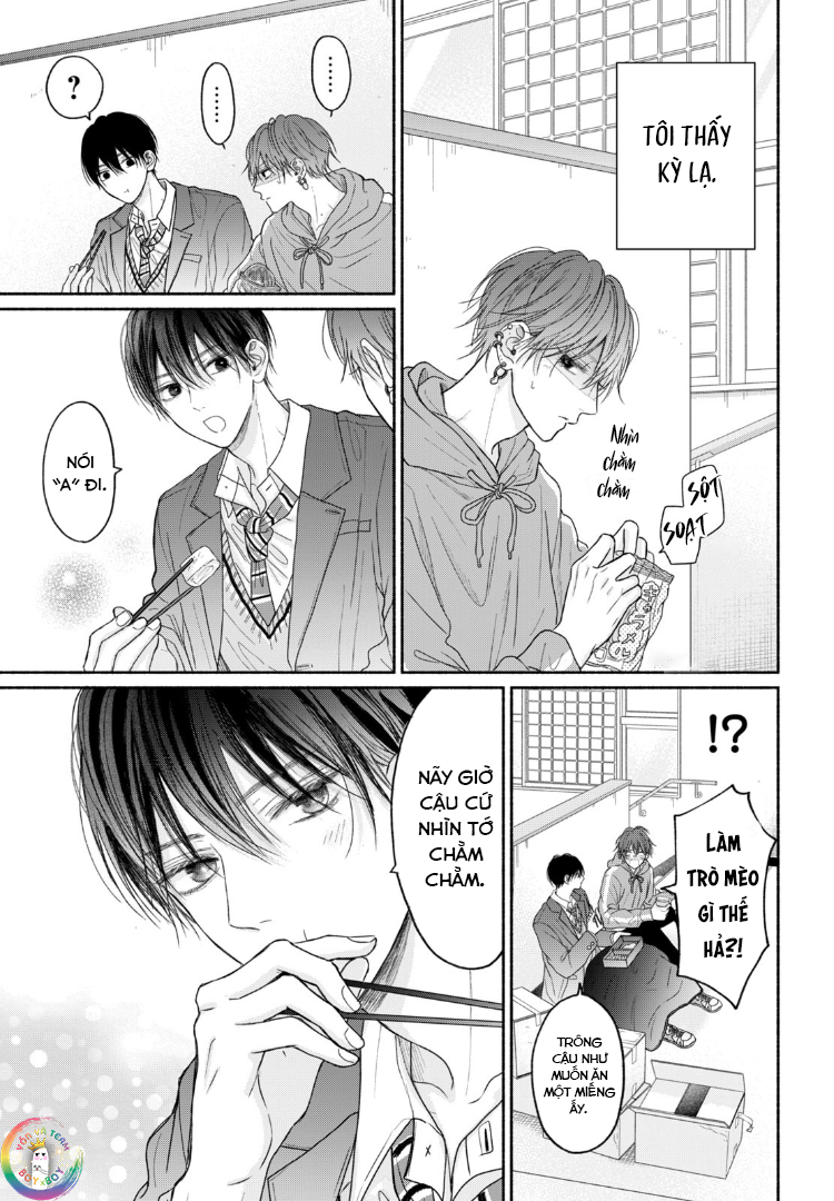 Tình Yêu Không Thể Giấu Chapter 6 - Next 