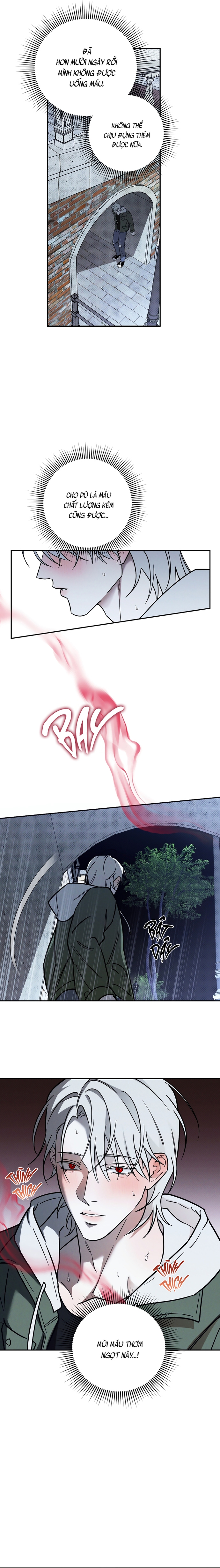 Vampire Homeless Chapter 1 - Trang 2