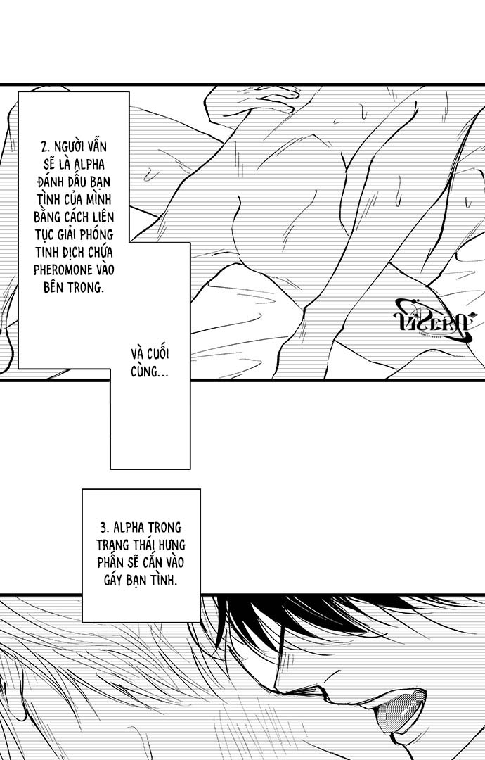 Bí Mật Thầm Kín Của Ngài Quý Tộc α Chapter 2 - Trang 2