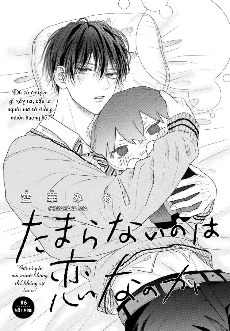 Tình Yêu Không Thể Giấu Chapter 6 - Next 