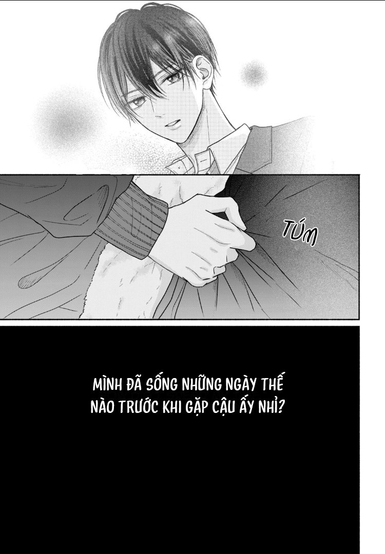 Tình Yêu Không Thể Giấu Chapter 6 - Next 