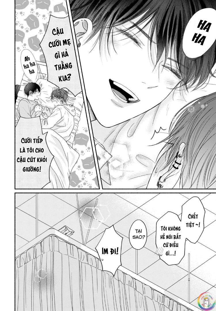 Tình Yêu Không Thể Giấu Chapter 6 - Next 