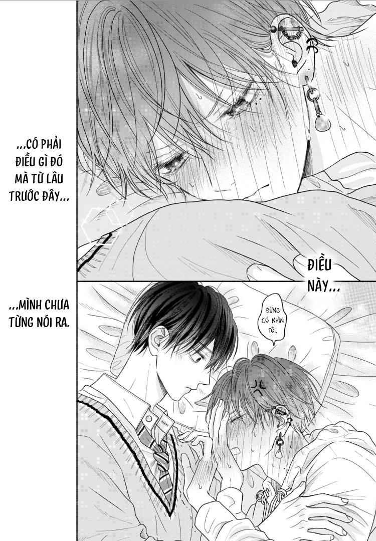 Tình Yêu Không Thể Giấu Chapter 6 - Next 