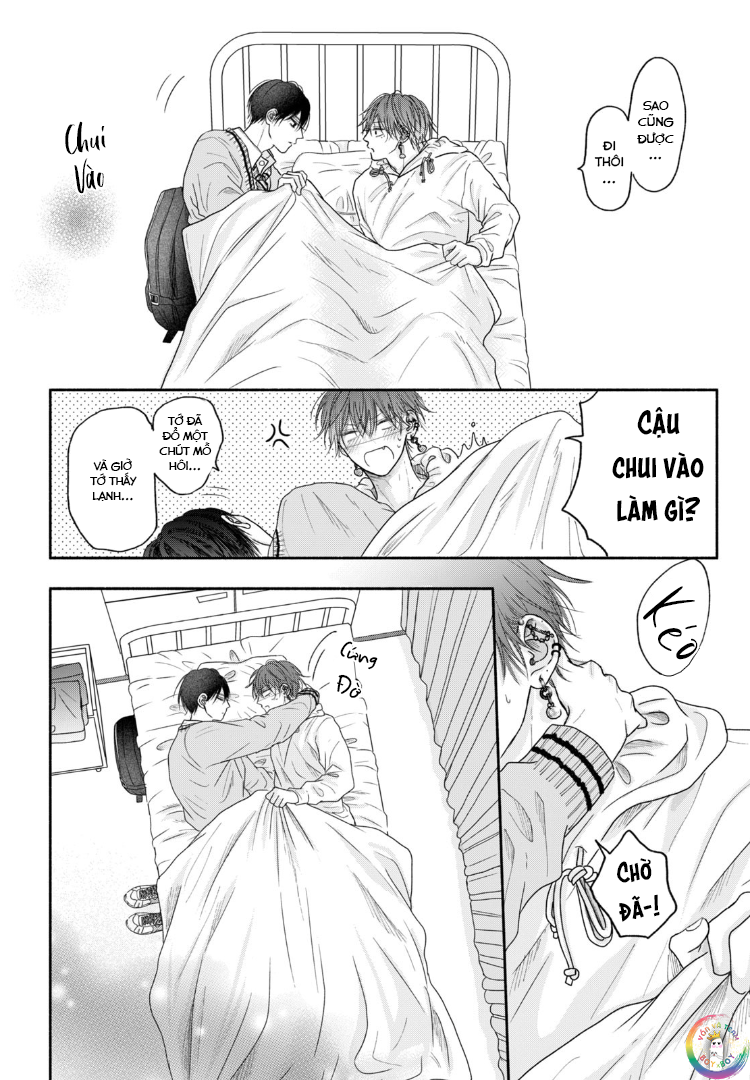 Tình Yêu Không Thể Giấu Chapter 6 - Next 