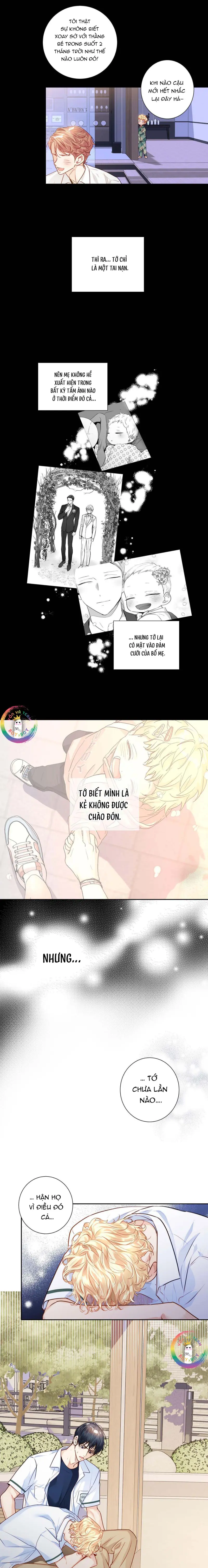 Love is an illusion! Superstar Chapter 25 - Next 