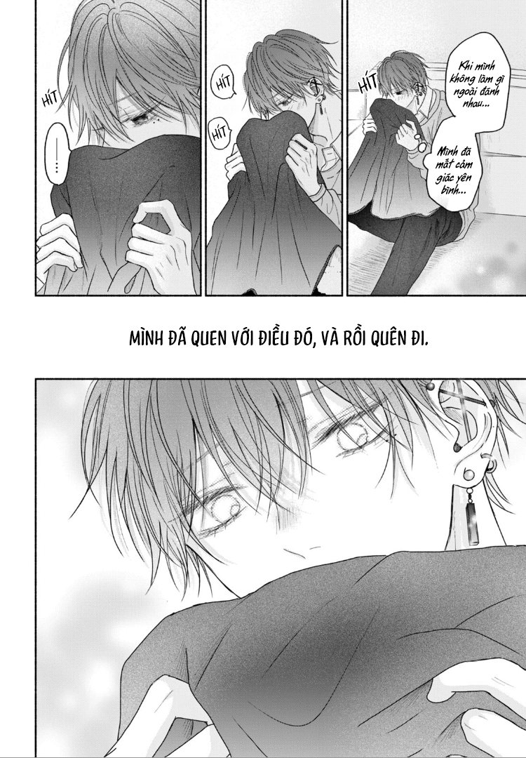 Tình Yêu Không Thể Giấu Chapter 6 - Next 