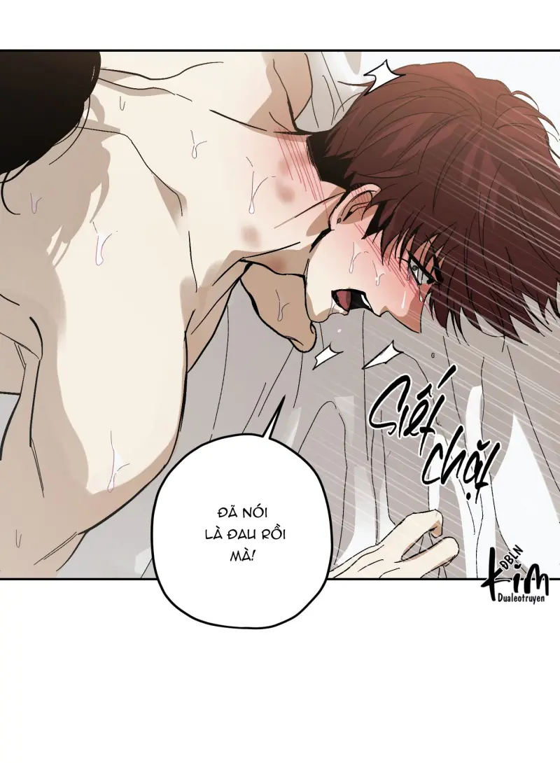 TƯƠNG XỨNG Chapter 15 - Next 