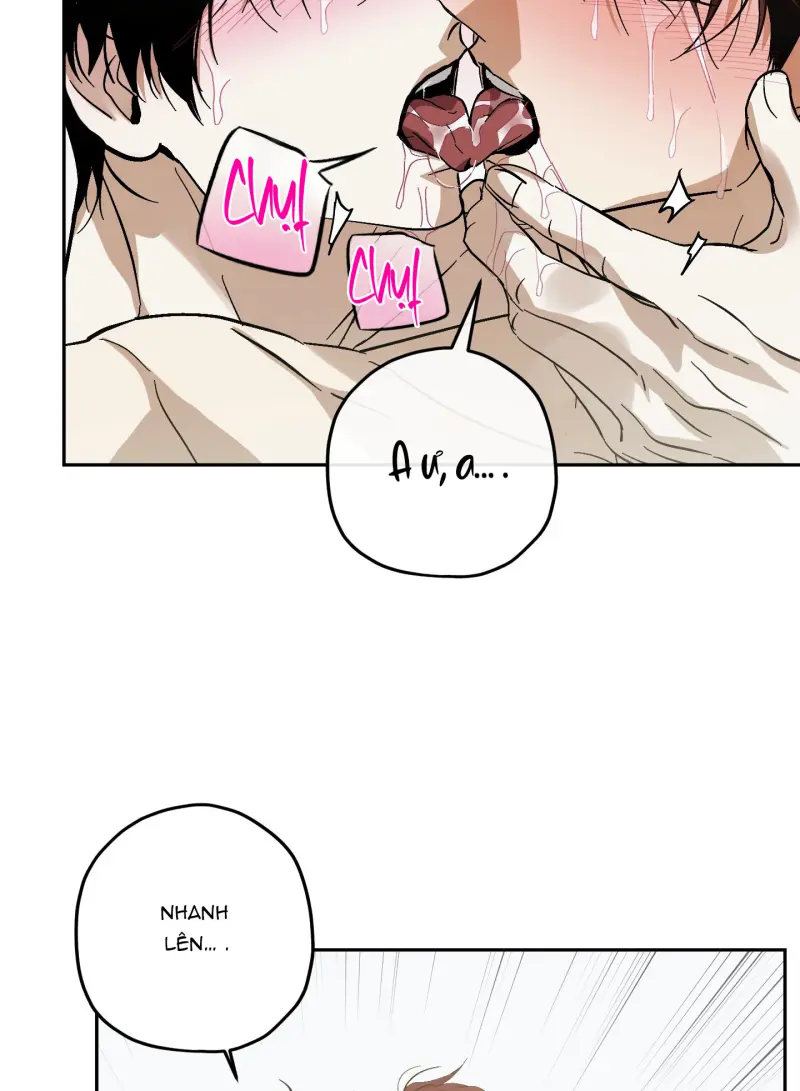 TƯƠNG XỨNG Chapter 15 - Next 