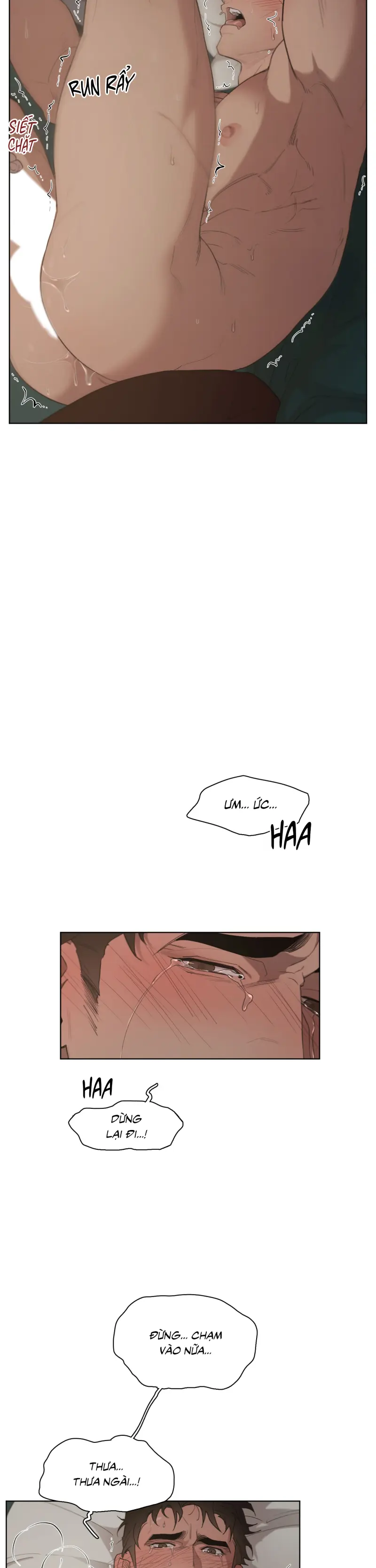 Plaything - Món đồ chơi của đại công tước Chapter 13 - Trang 2