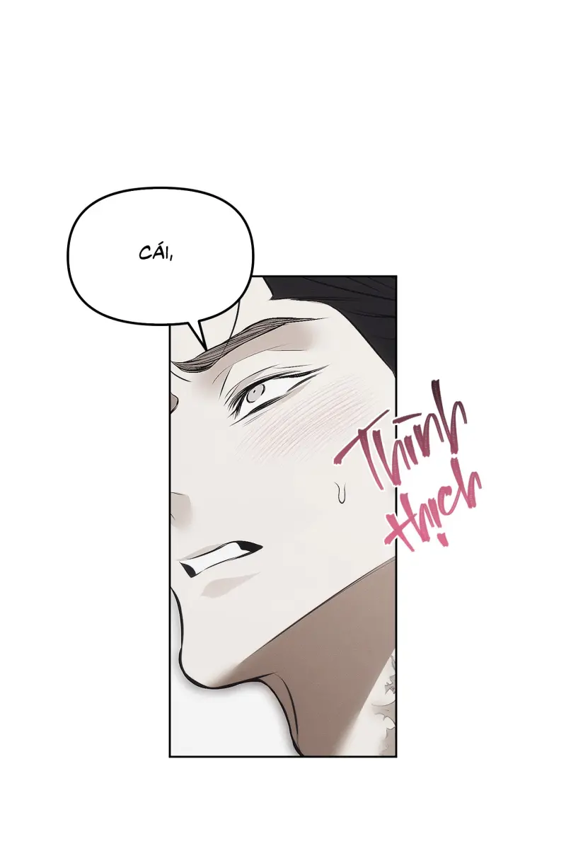 BẪY CHUỘT Chapter 7 - Trang 2