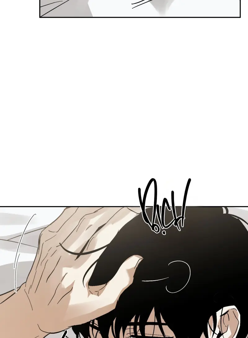 TƯƠNG XỨNG Chapter 15 - Next 